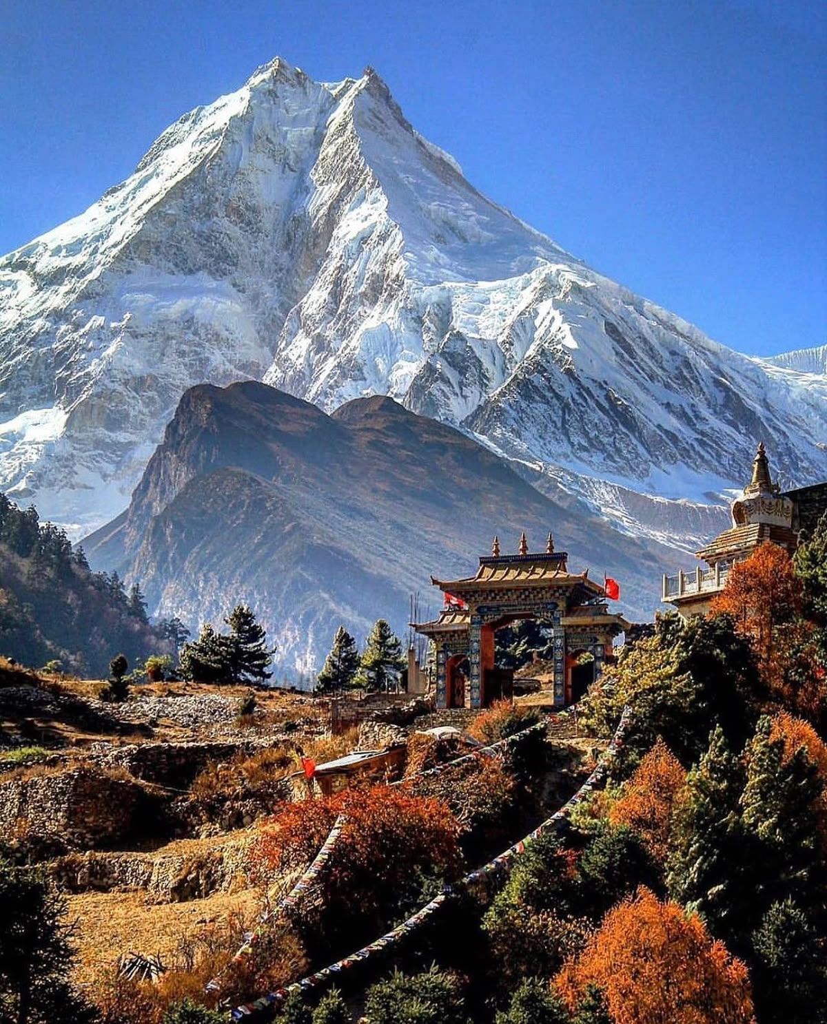 Zen Nepal