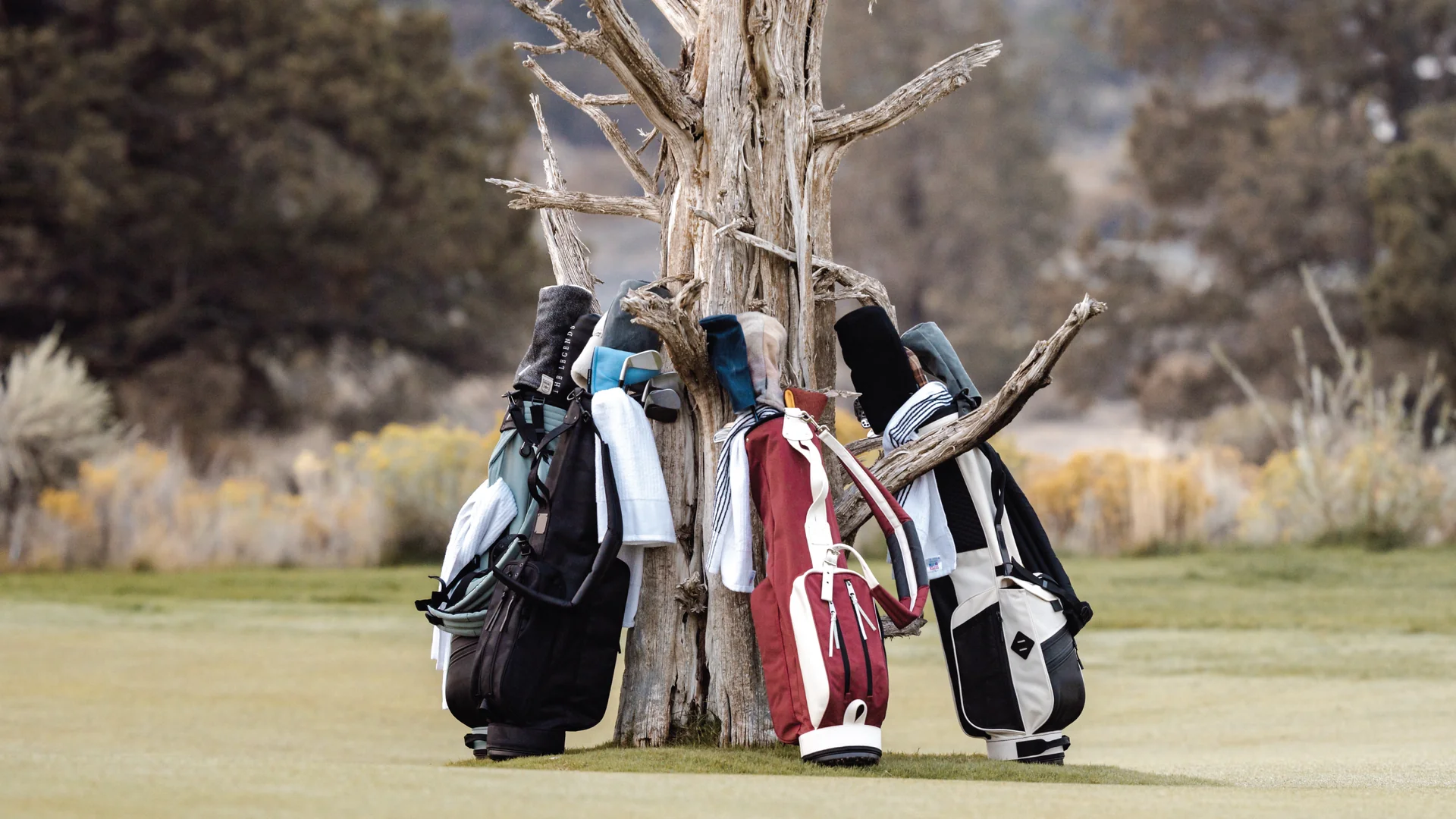 Jones Carry bags