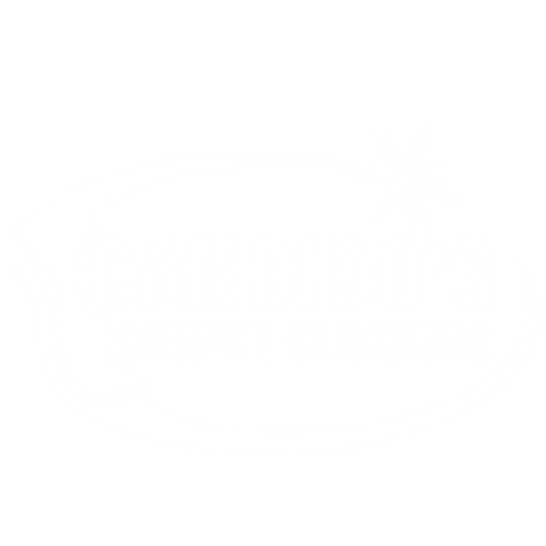 Candido's Carpet Cleaning