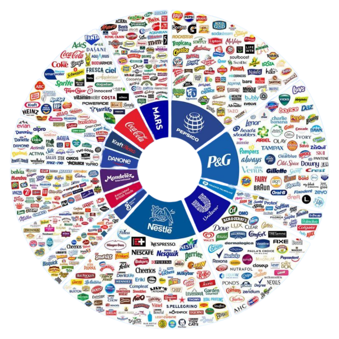 Brand ownership wheel showing how most consumer brands are owned by a handful of mega-corporations including P&G, Unilever, Nestlé, Kraft Heinz, Johnson & Johnson, Mars, Kellogg's, and General Mills