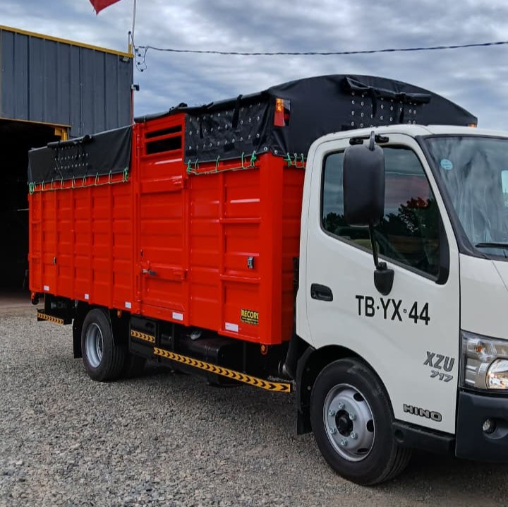 Jaula para transporte de ganado bovino en camión