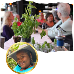 Tipsy Gardener Tipsy Gardener