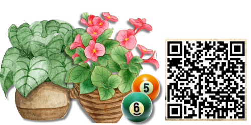 Plant Bingo Night Plant Bingo Night