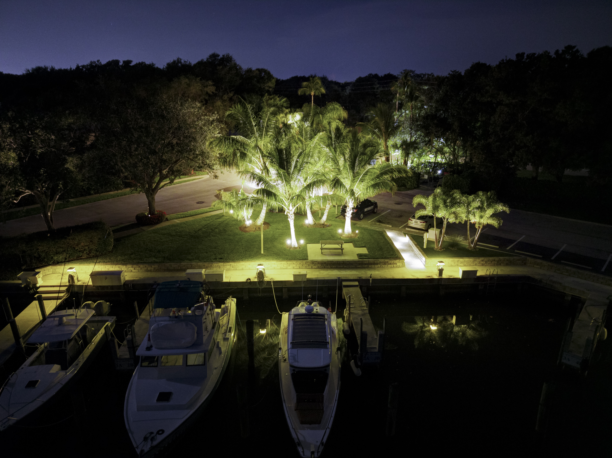 Palm trees lit from below on the lawn behind boats tied up in their slips at night
