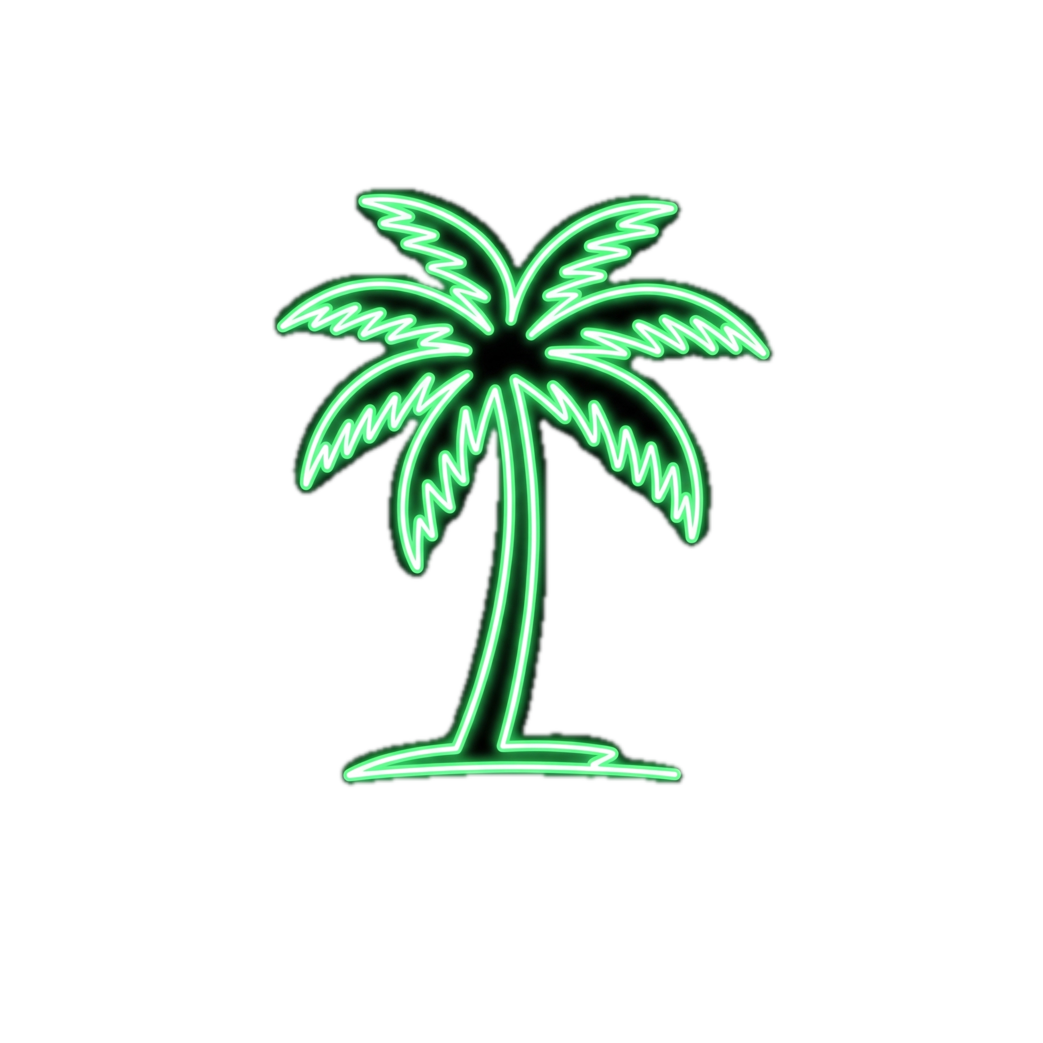 Palm Tree Icon