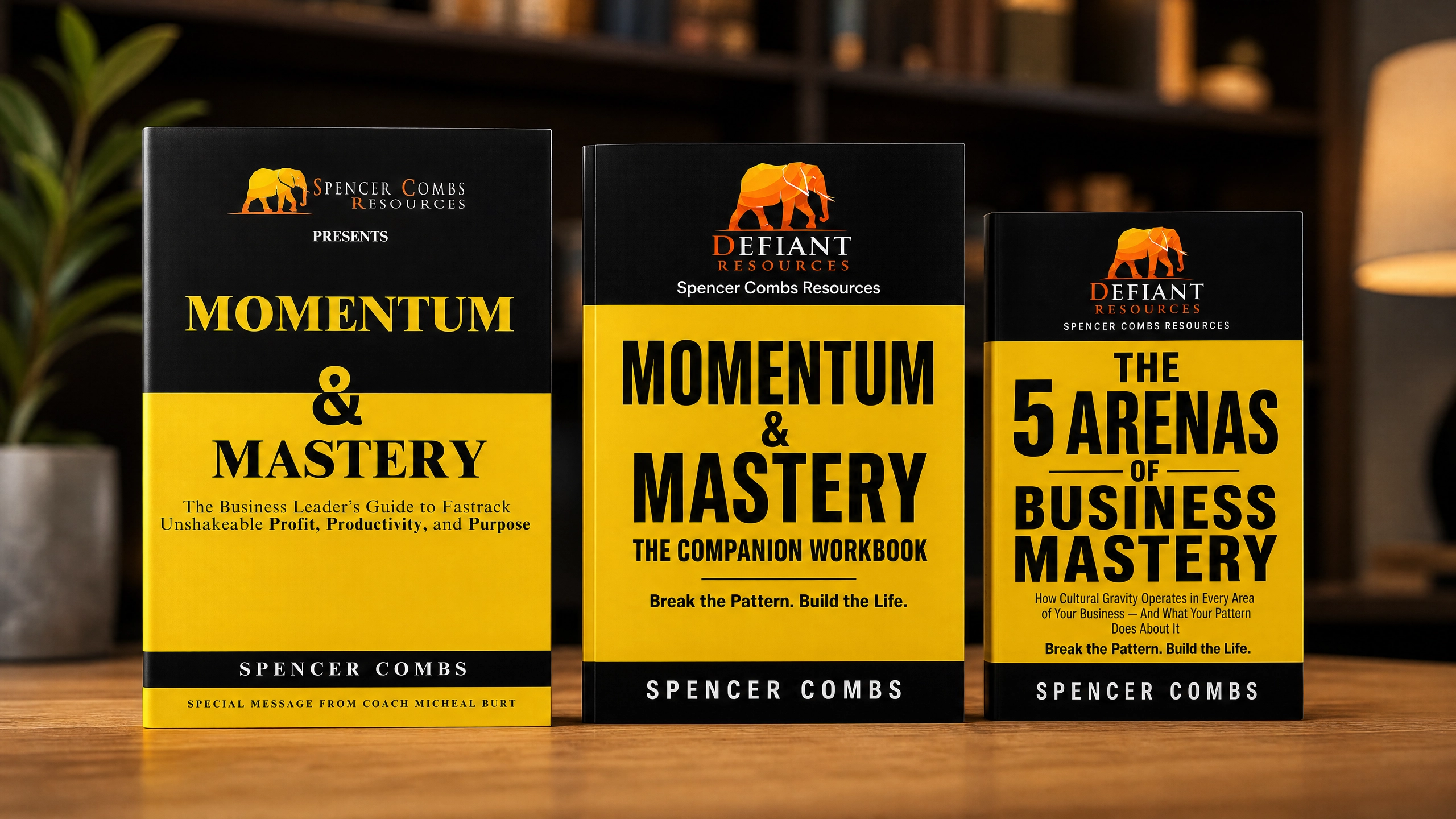 Momentum & Mastery System — three books on a bookshelf