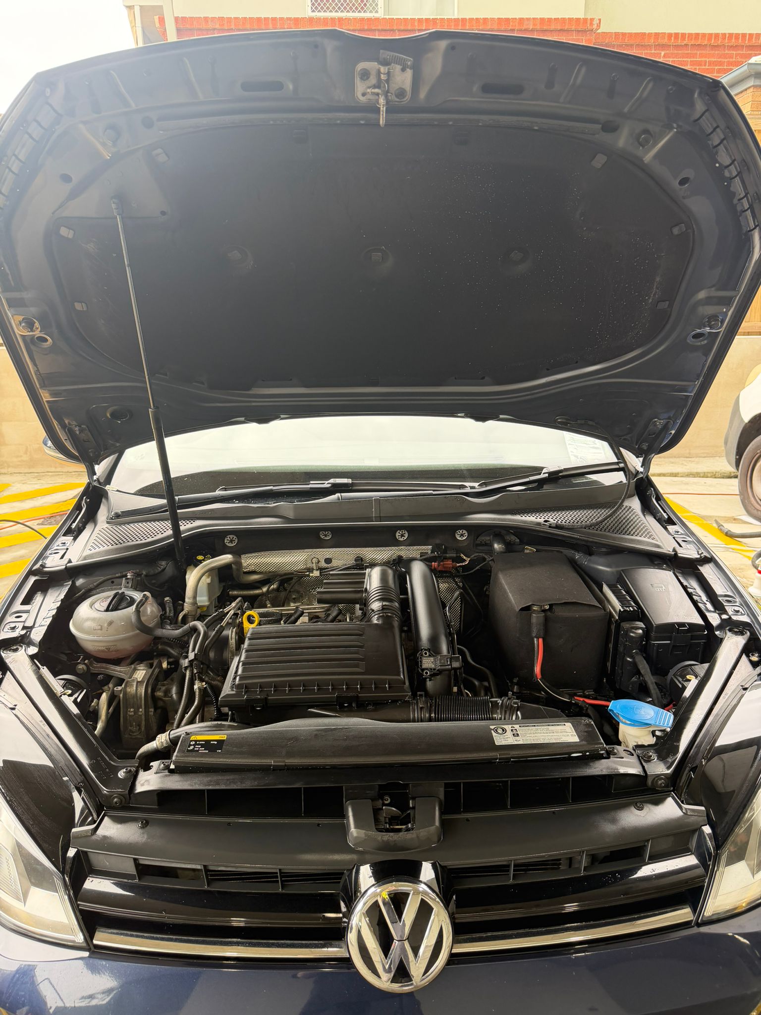 Engine bay after professional detail Brisbane — High Shine Club