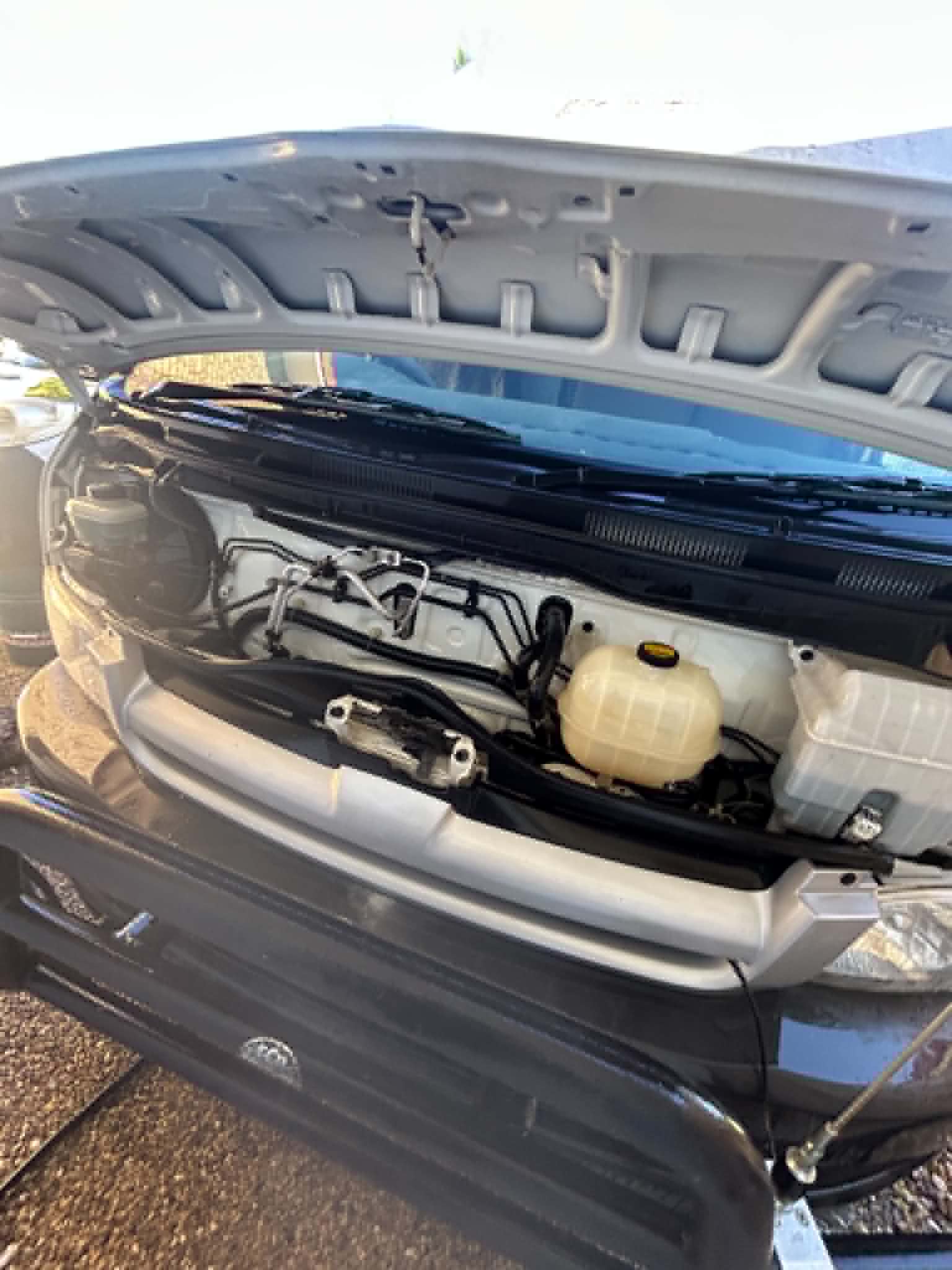 Clean engine bay after detail Brisbane — High Shine Club