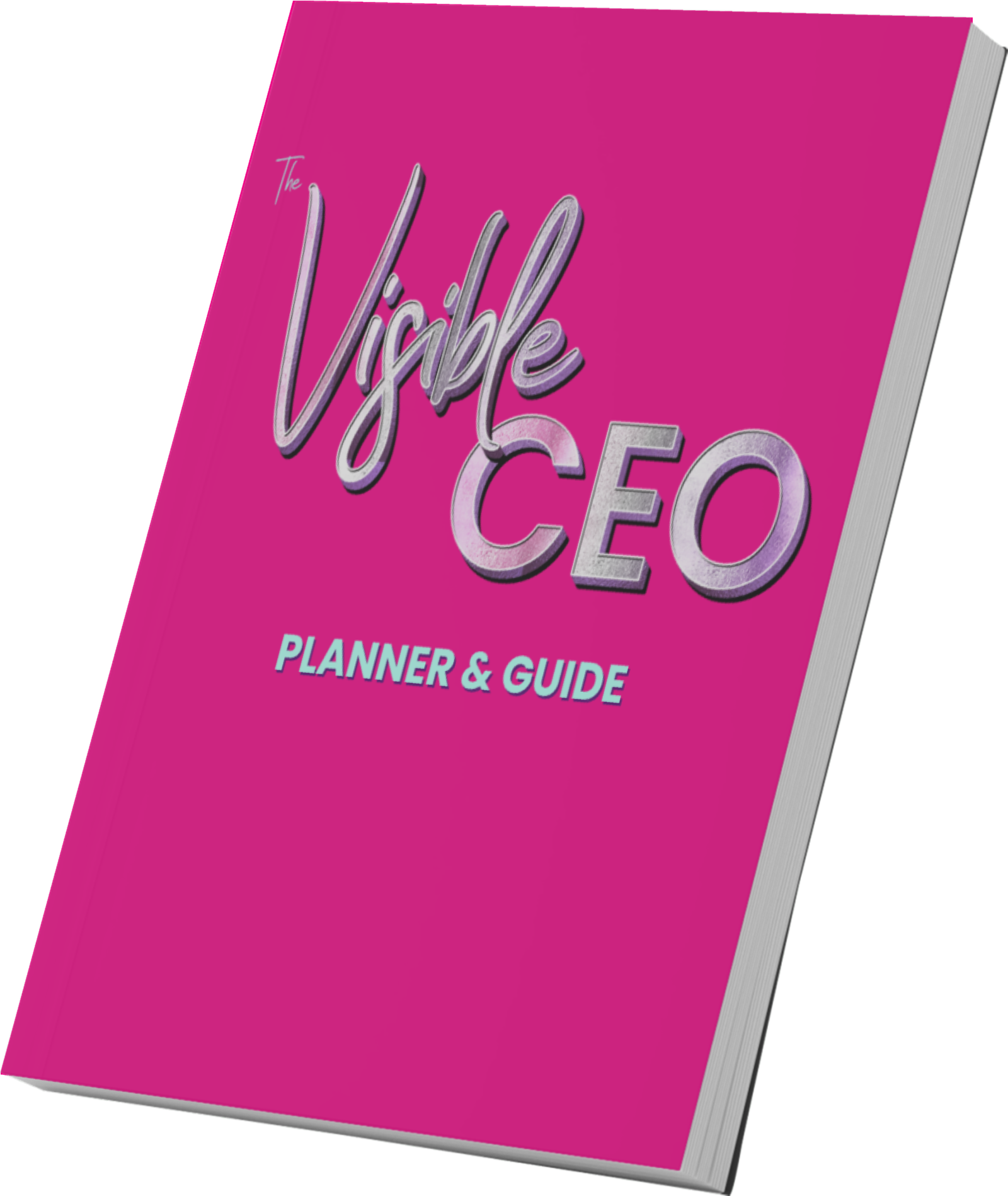 The Visible CEO Planner and Guide by Crissy Conner, book cover