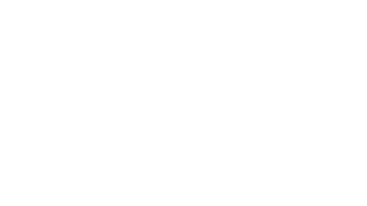 The Visible CEO Logo