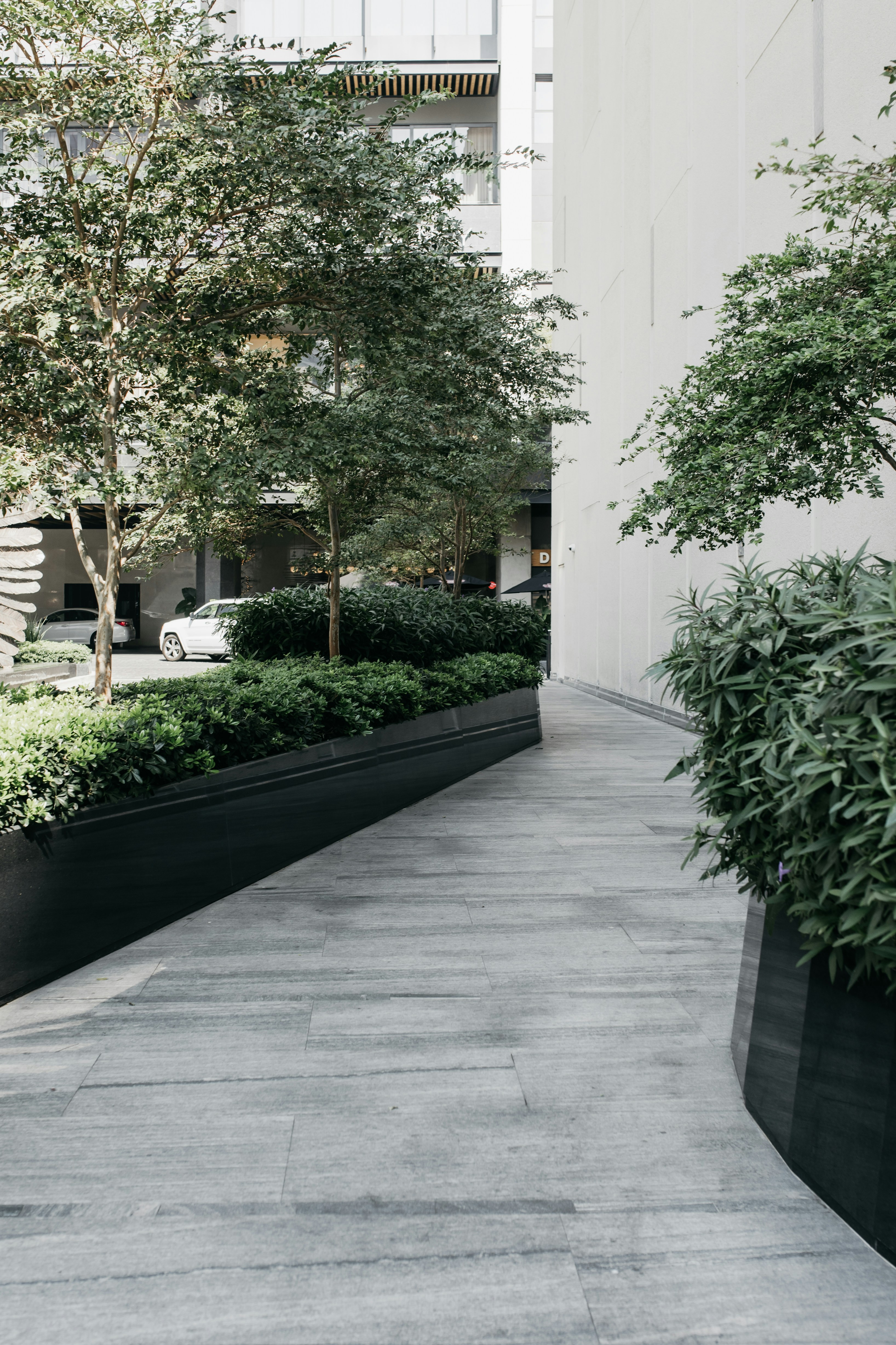 Commercial walkway plantings along the Wasatch Front