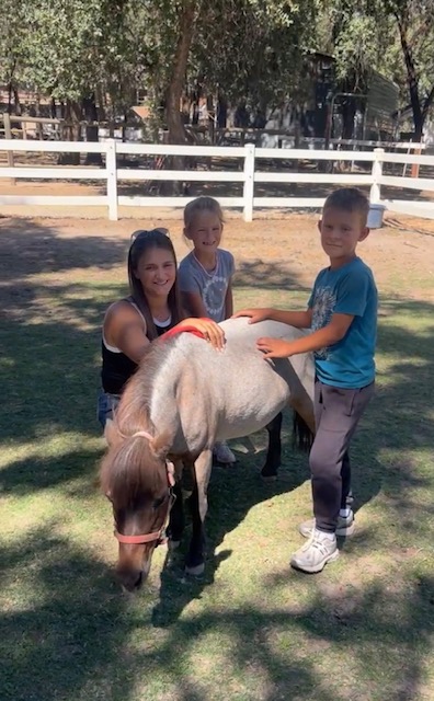 A mother and two children gently petting a miniature horse in dappled shade