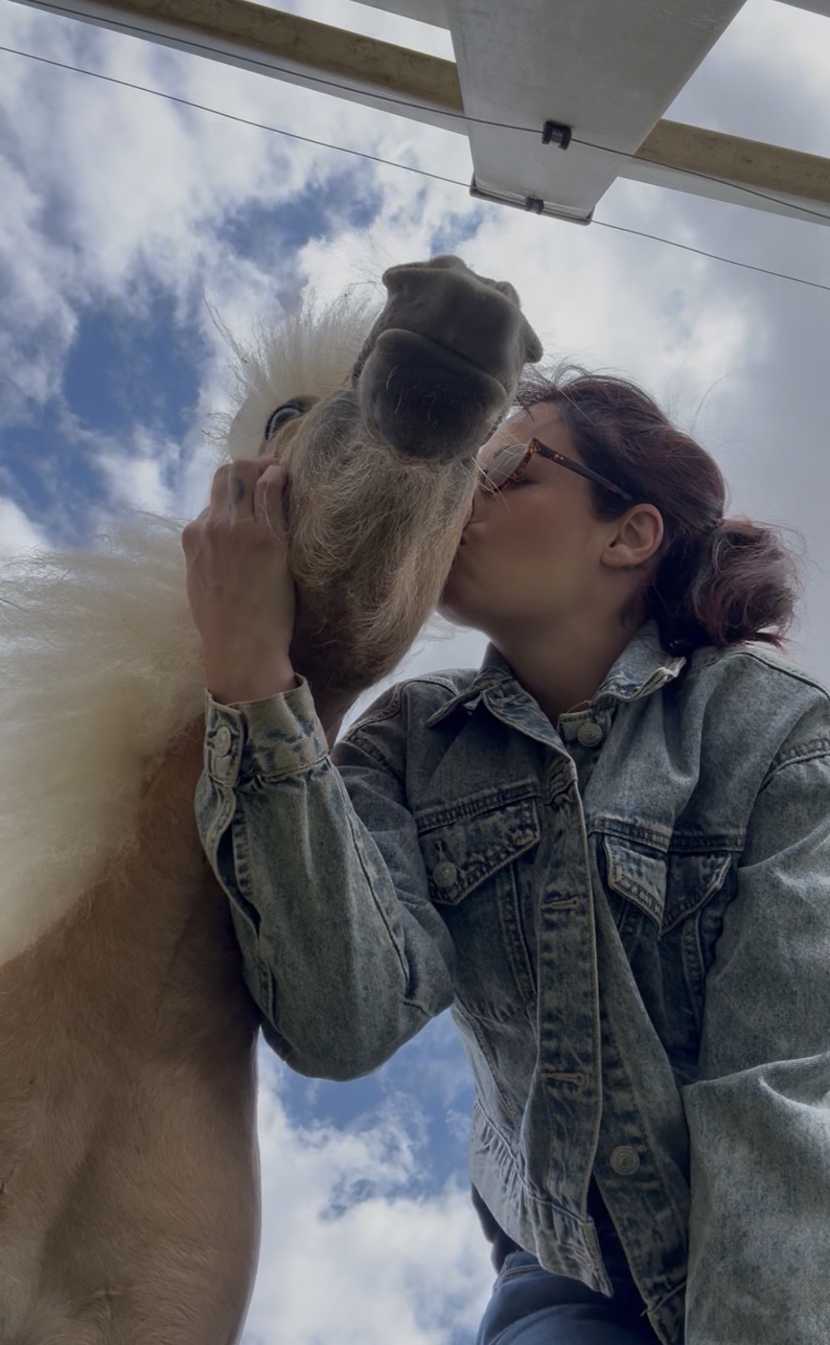 A gentle, affectionate moment with a calm miniature horse.
