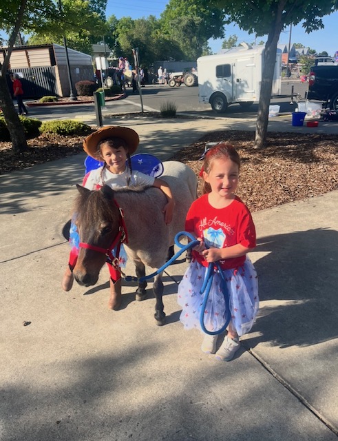 A child leading a decorated miniature horse at a community event.