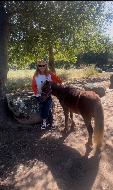 A woman kneeling beside a chestnut miniature horse