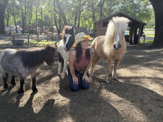 Coco, Charlie, and Willow with a handler beside the stalls.