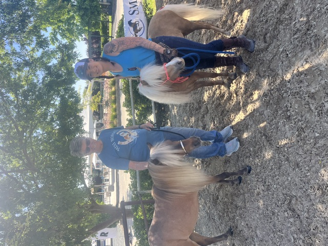 Visitors leading miniature horses beside the white-railed pasture.