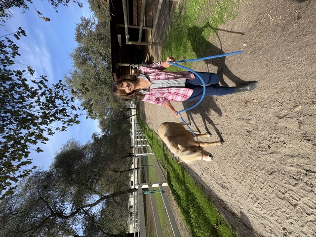 Walking a miniature horse down a shaded trail