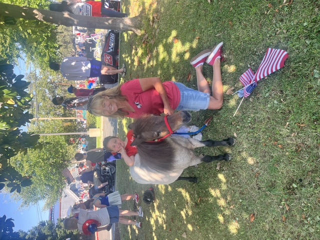 Coco, a gentle roan miniature horse with a soft grey coat and dark mane.