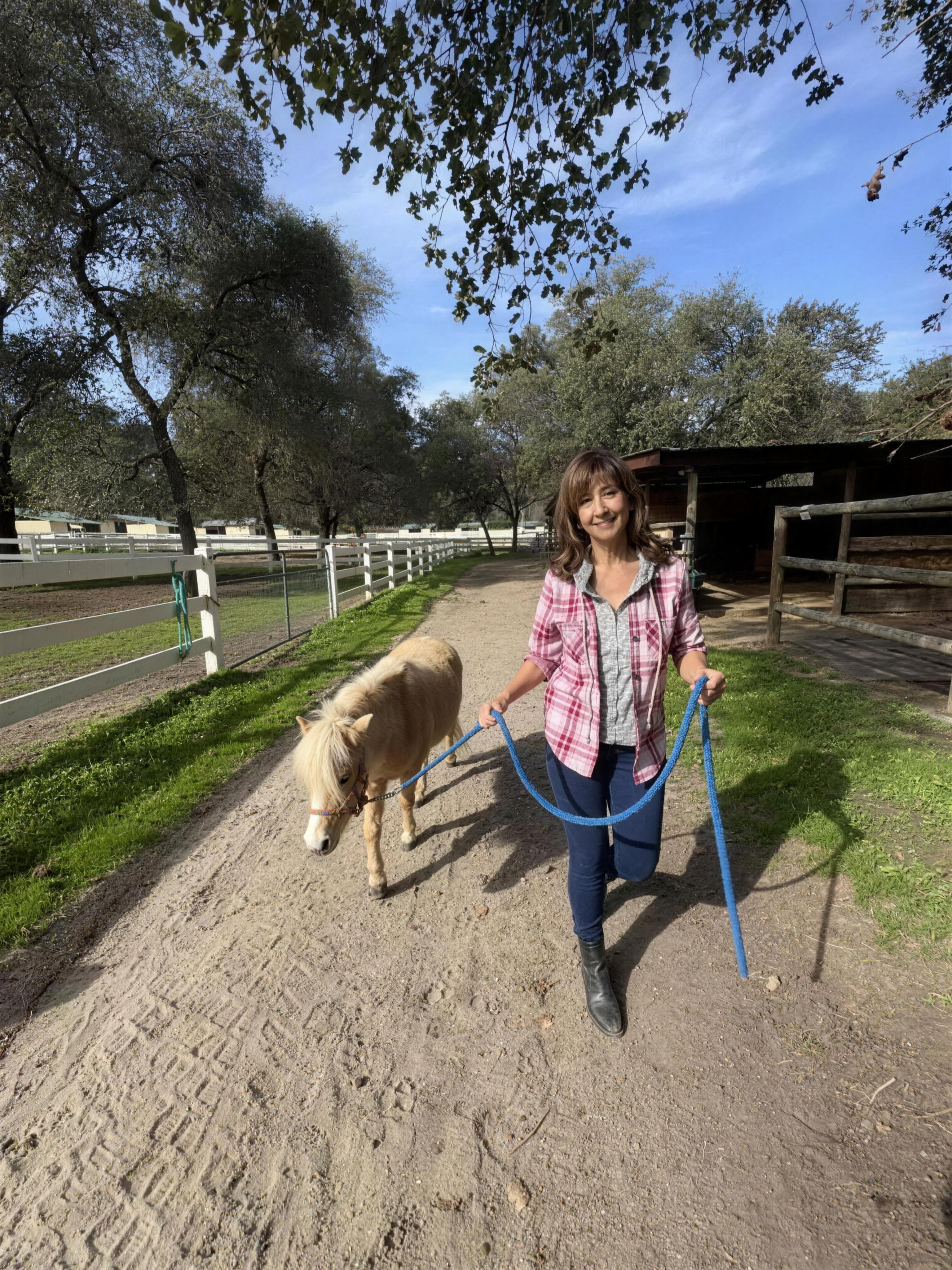 Walking a miniature horse along a shaded trail.
