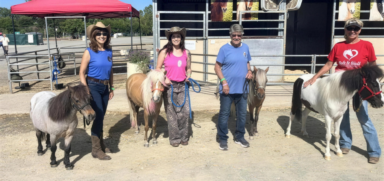 The full Making Mini Memories team with all four miniature horses at the stables.