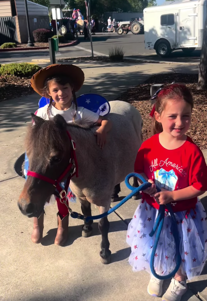 A child leading a miniature horse on a lead rope.