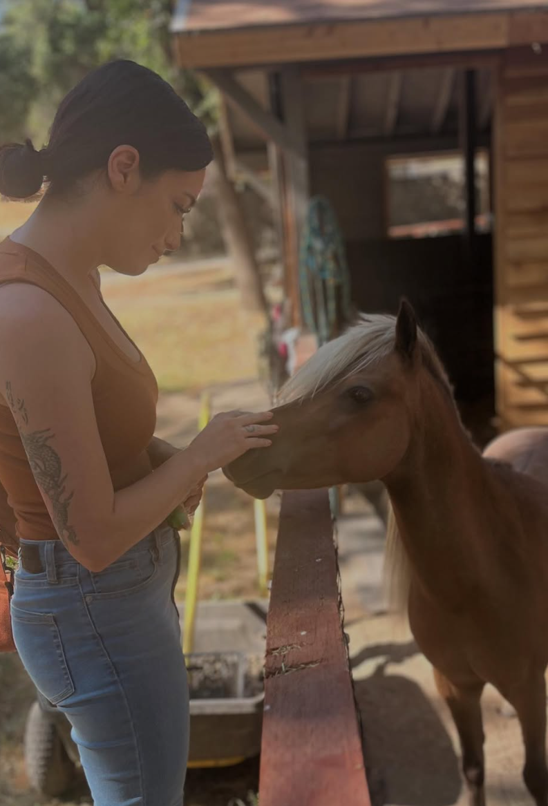 A visitor sharing a calm moment with a palomino miniature horse at the stables.