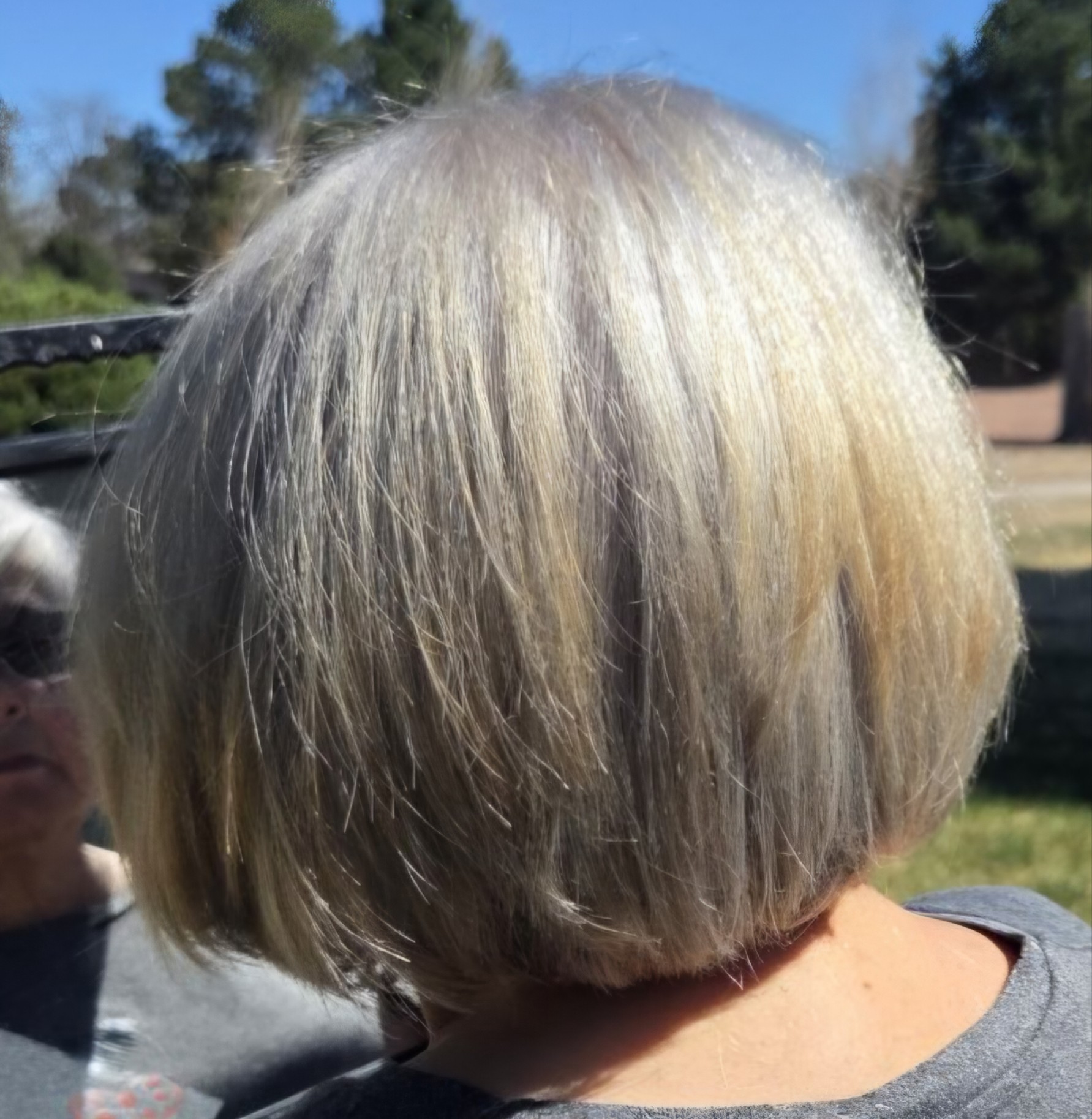 Gray Blending Hair Color Colorado Springs - Rob The Hair Viking