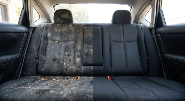Car interior before and after professional stain extraction and pet hair removal Car interior before and after professional stain extraction and pet hair removal