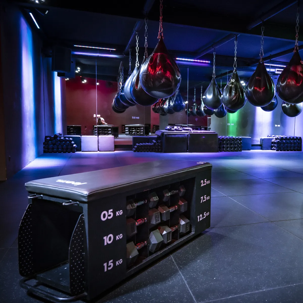 The studio: boxing bags, a jeem bench with dumbbells, blue light
