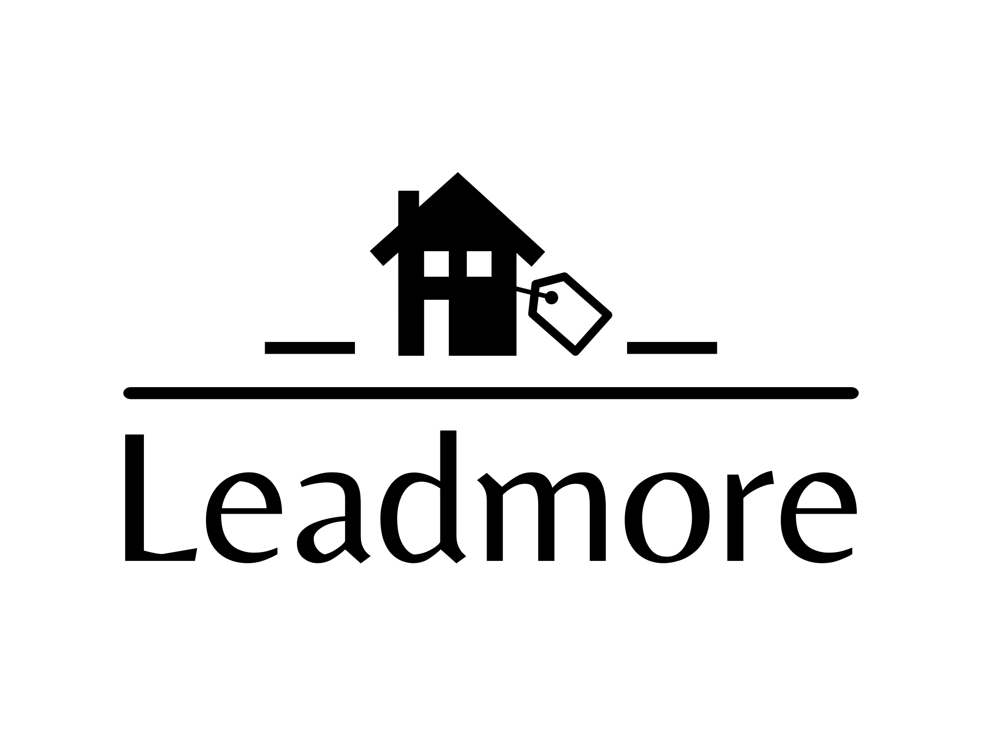 Leadmore Logo