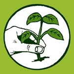 Landscaping Services in Bowie, MD