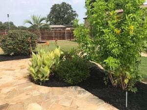 {{ custom_values.service_3 }} in {{custom_values.area_6})