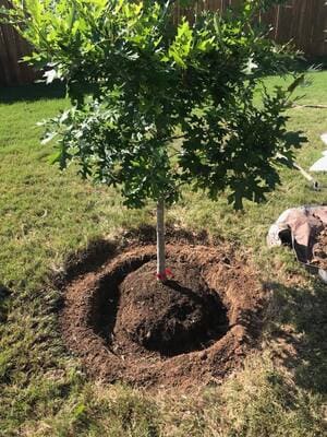 {{ custom_values.service_2 }} in {{custom_values.area_1})