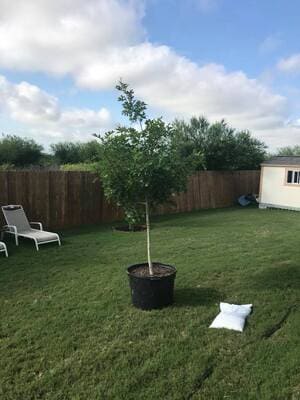 {{ custom_values.service_3 }} in {{custom_values.area_1})