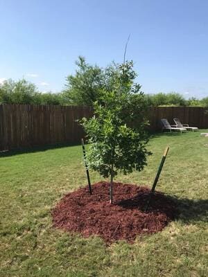 {{ custom_values.service_4 }} in {{custom_values.area_1})