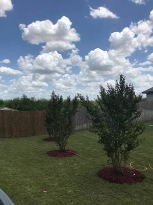 {{ custom_values.service_1 }} in {{custom_values.area_3})