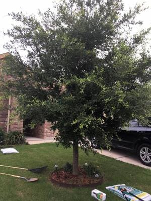 {{ custom_values.service_1 }} in {{custom_values.area_7})