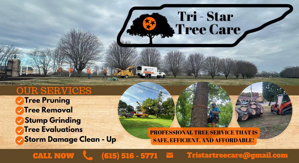 Tri-Star Tree Care logo