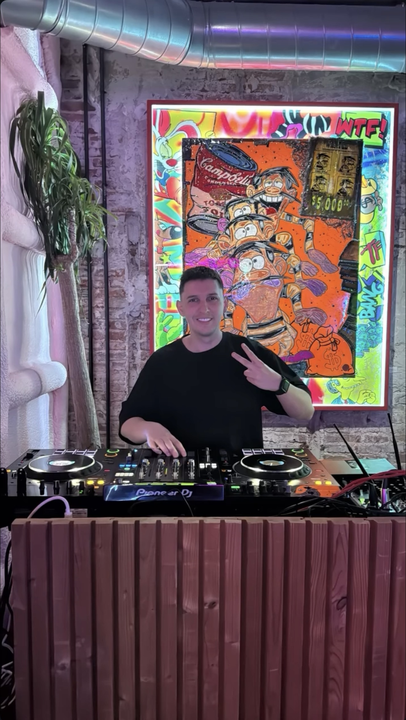 DJ Profesional
