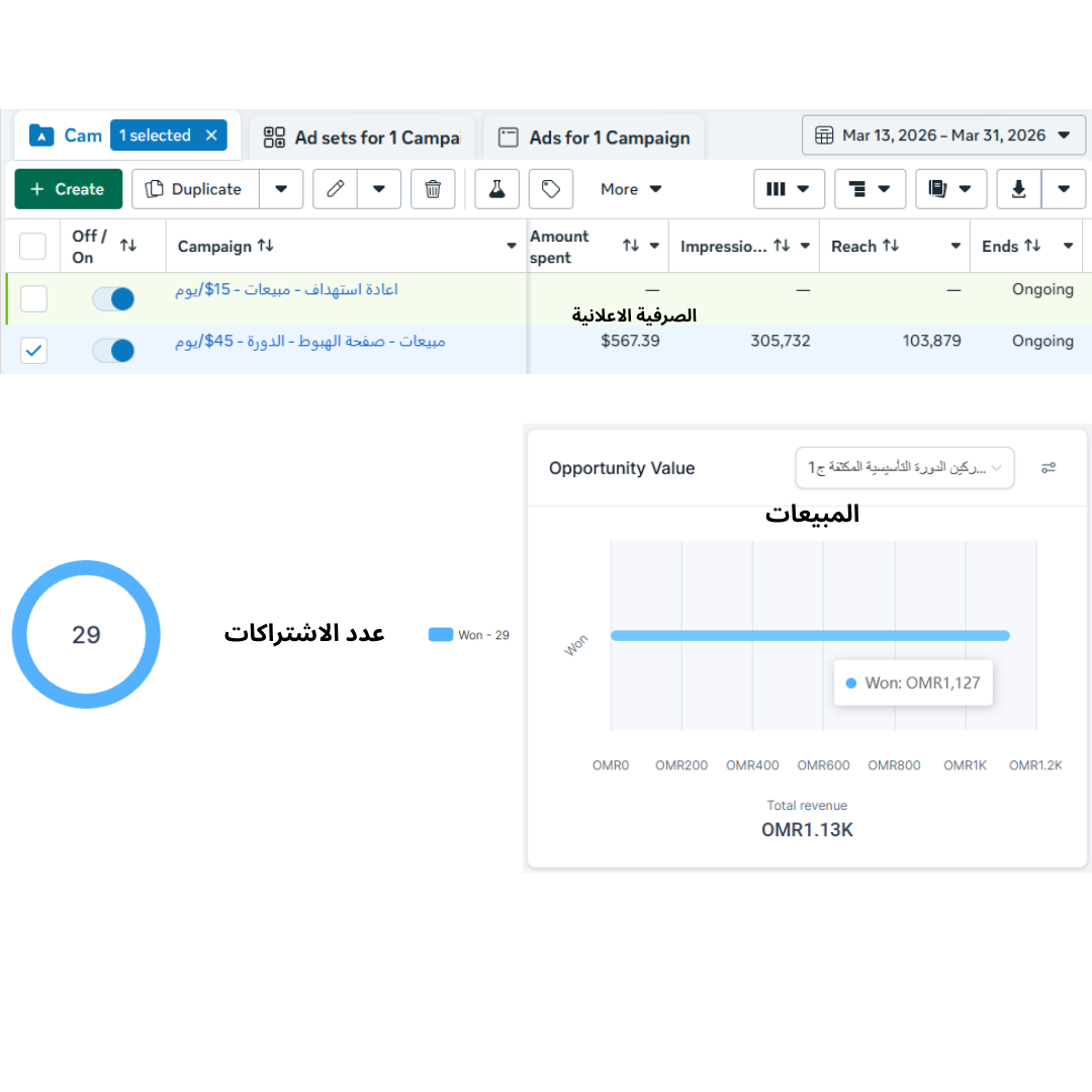 نتائج حملة إعلانية - فبراير 2025