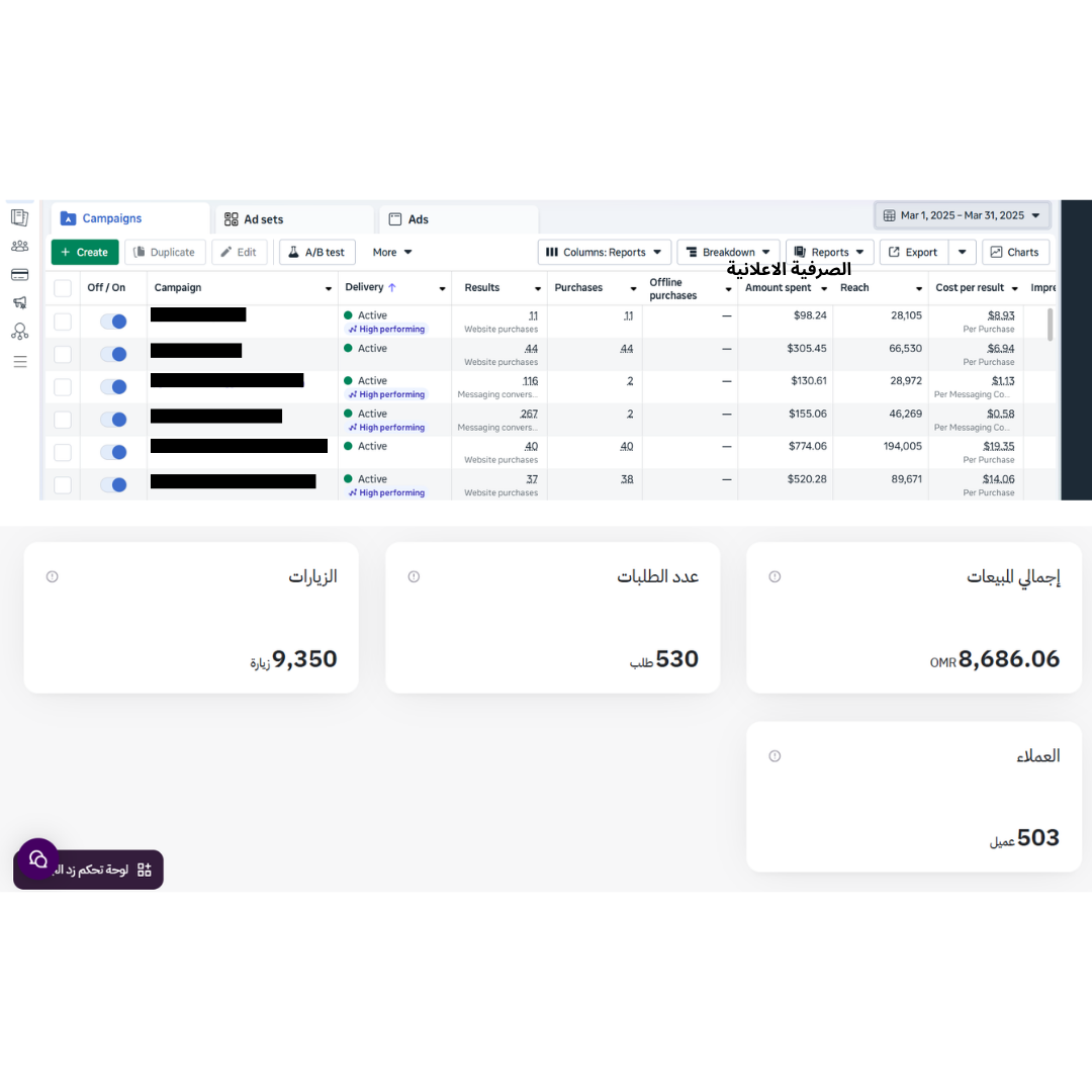 نتائج حملة إعلانية - أغسطس 2024