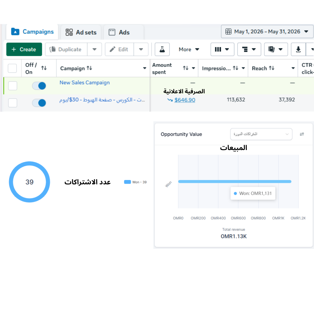 نتائج حملة إعلانية - أكتوبر 2024
