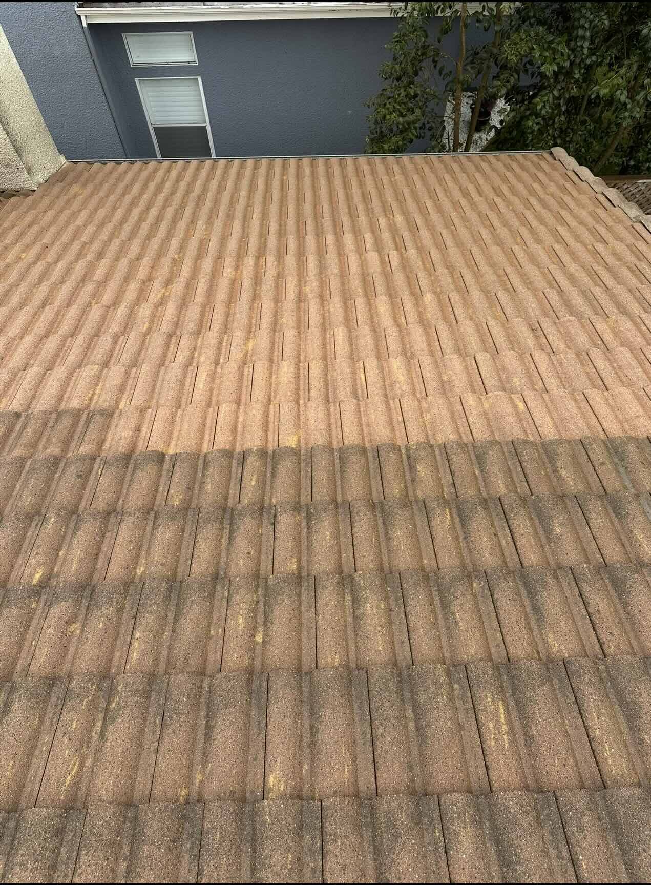 Roof cleaning and moss removal service by SV Exterior Home Cleaning in Sonoma County