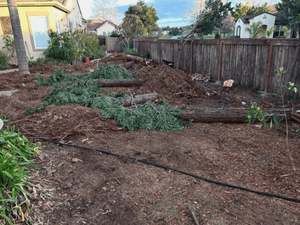 {{ custom_values.service_3 }} in {{custom_values.area_3})