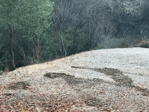 {{ custom_values.service_1 }} in {{custom_values.area_2})