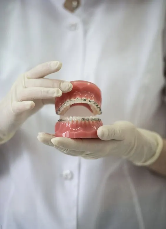 Prótesis dental en las manos de una profesional de Critón Salud