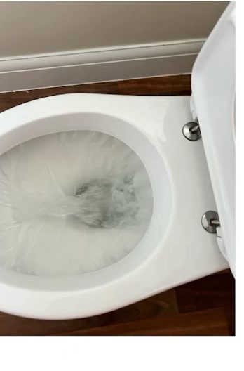 Blocked Toilets