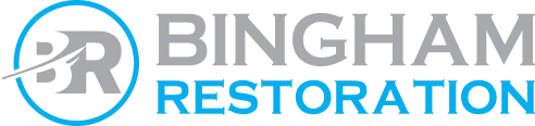 Bingham logo