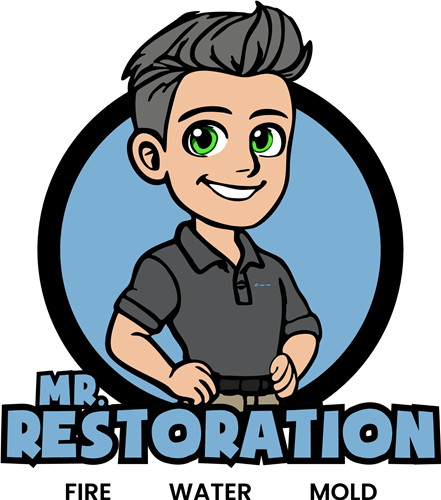 Mr. Restoration logo